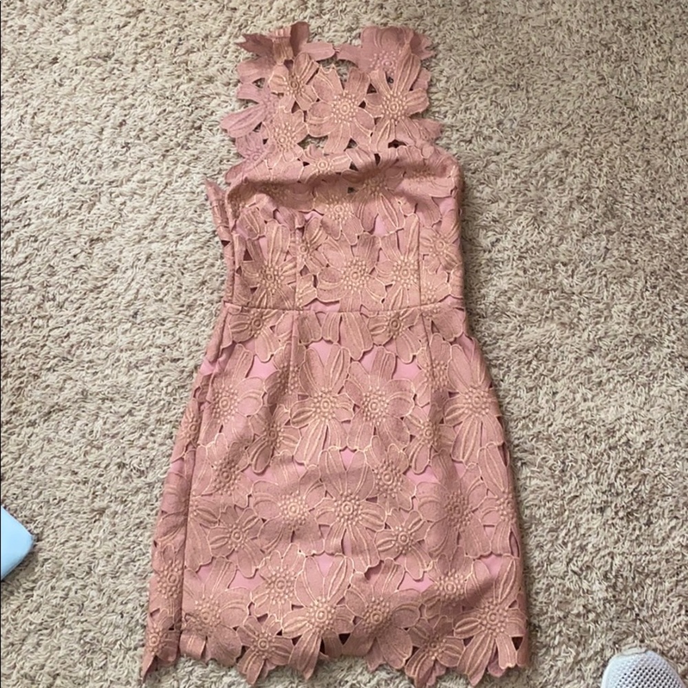 Free People Pink/Rose Dress